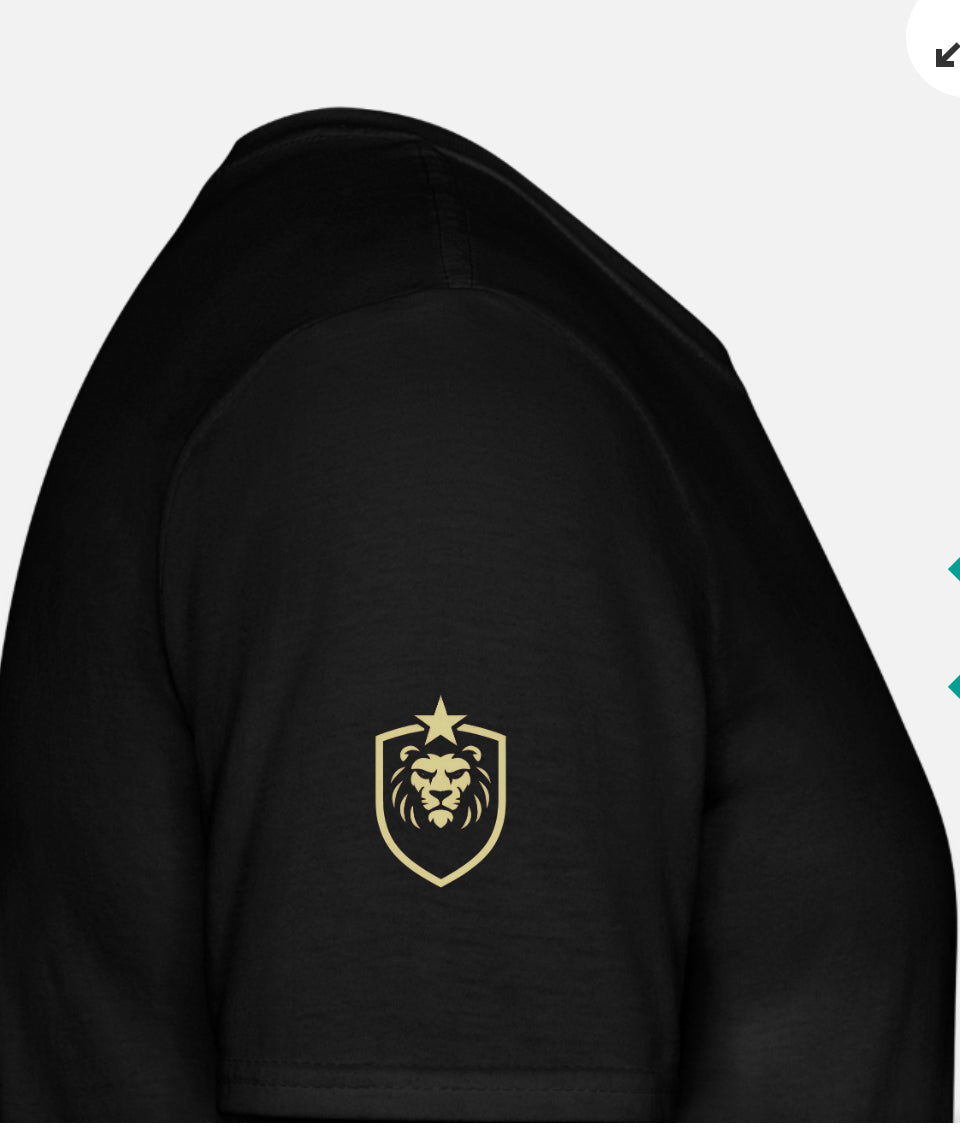 T-shirt herr w/logo ASB design