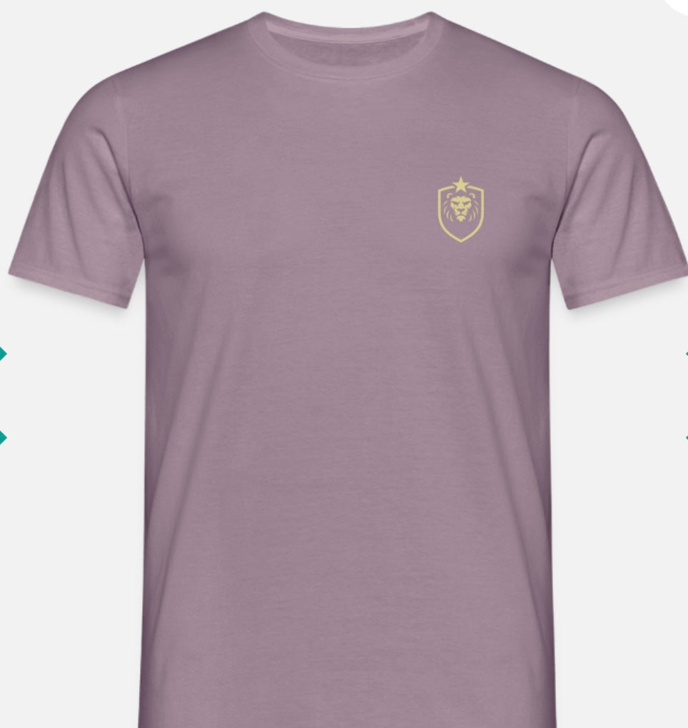 T-shirt herr w/logo ASB design