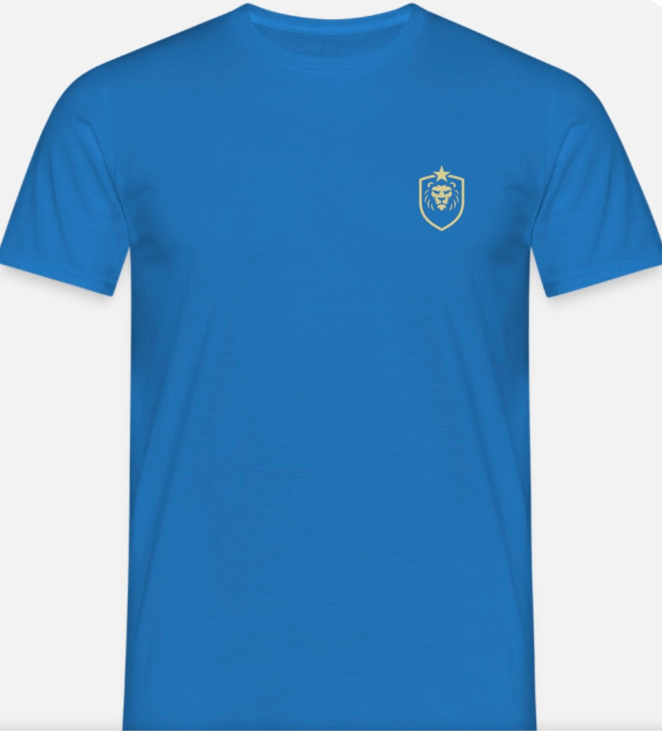 T-shirt herr w/logo ASB design