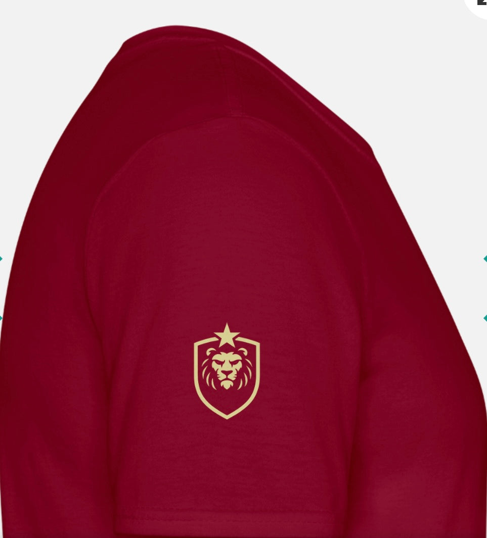 T-shirt herr w/logo ASB design