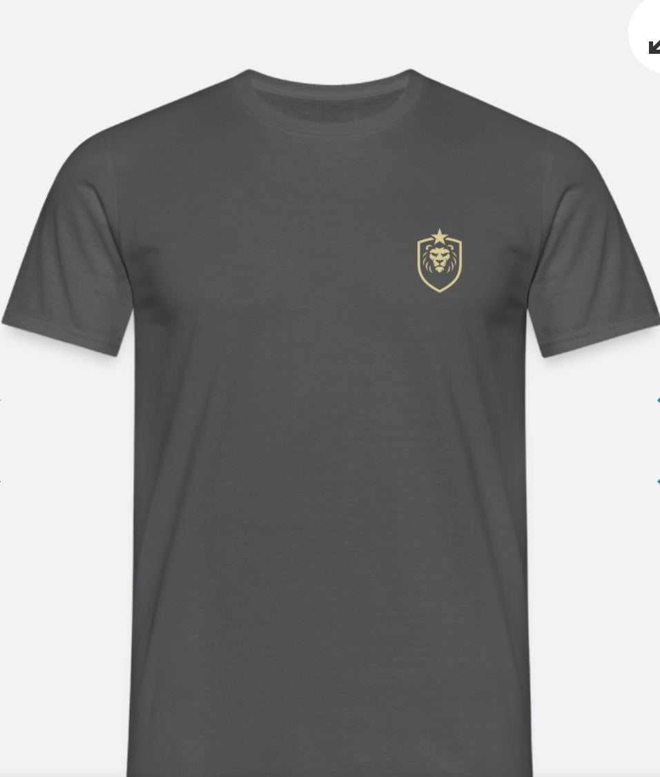 T-shirt herr w/logo ASB design