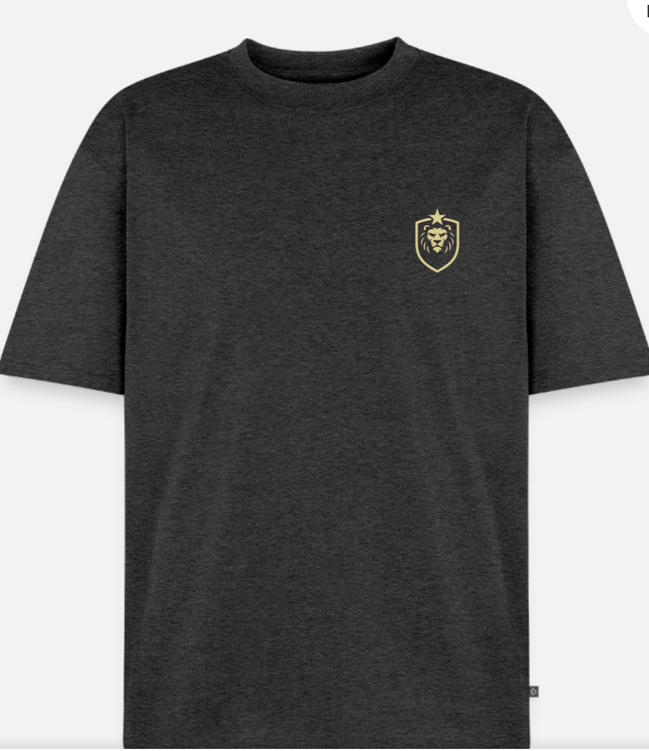 Ekologisk oversized t-shirt unisex w/logo ASB design