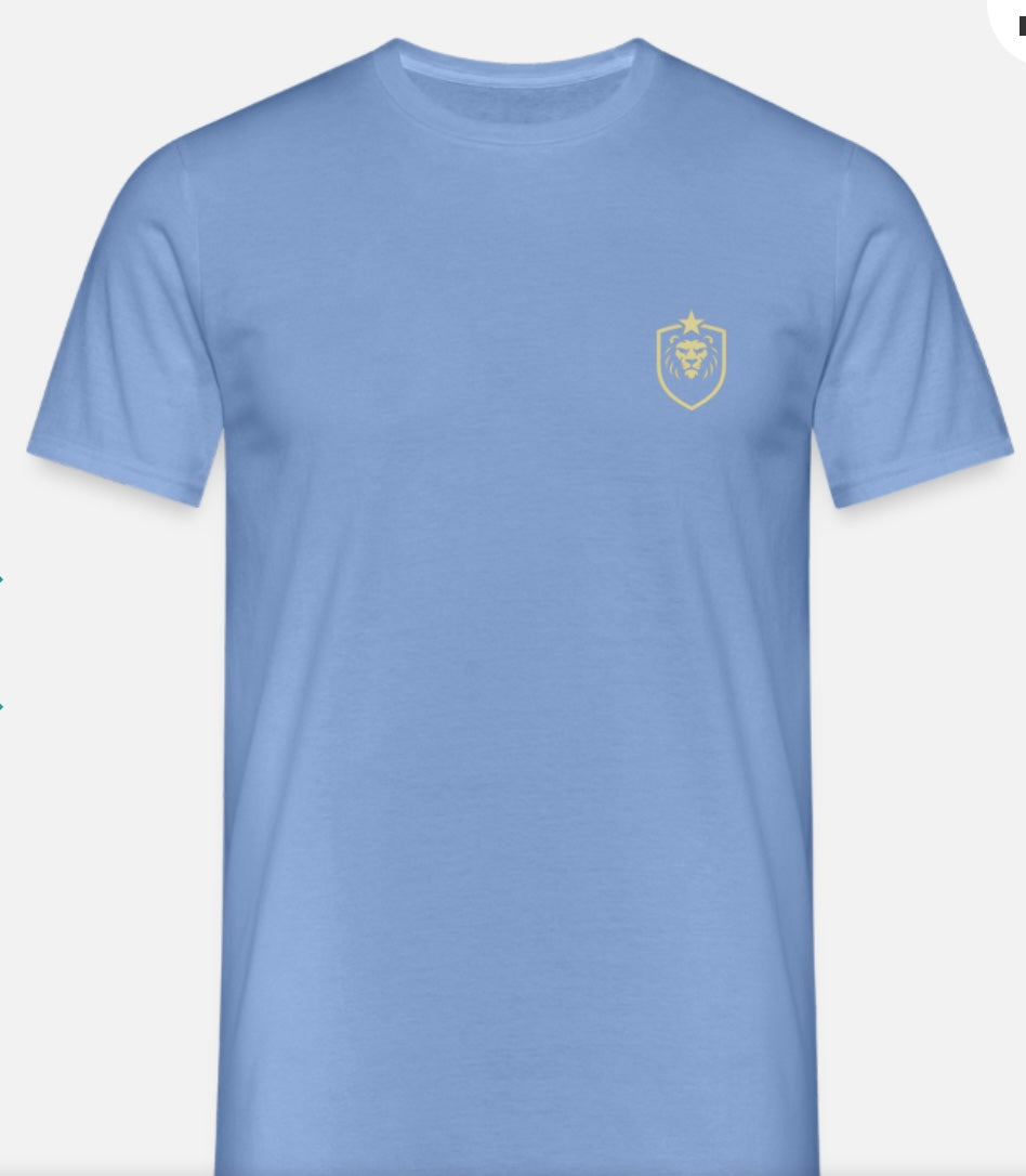 T-shirt herr w/logo ASB design