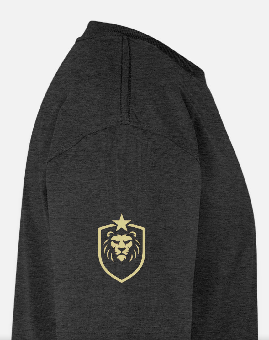 Ekologisk oversized t-shirt unisex w/logo ASB design