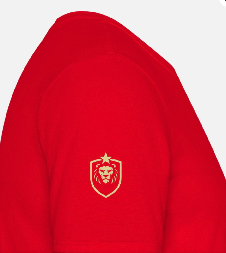 T-shirt herr w/logo ASB design