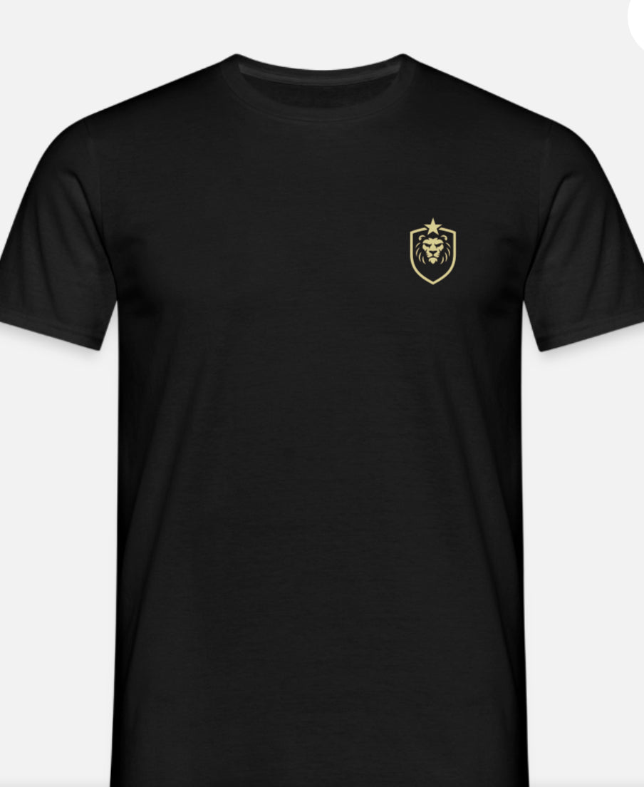 T-shirt herr w/logo ASB design