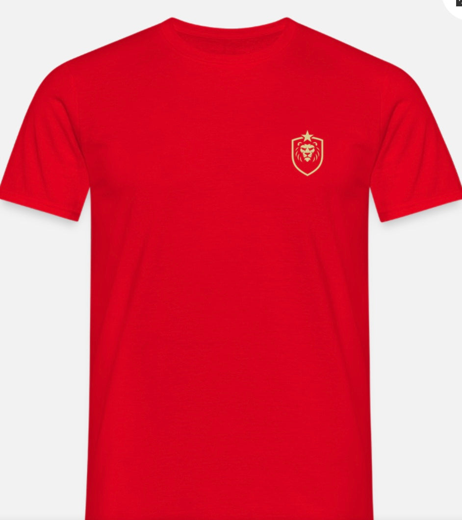 T-shirt herr w/logo ASB design