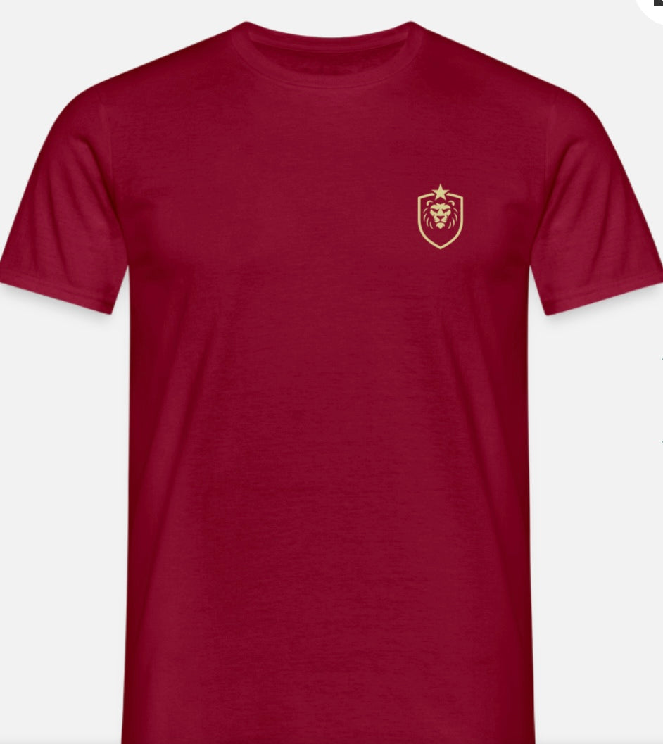 T-shirt herr w/logo ASB design