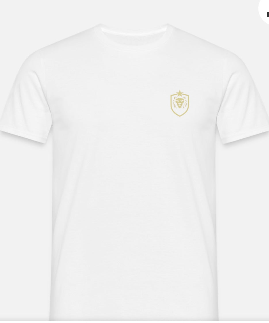 T-shirt herr w/logo ASB design