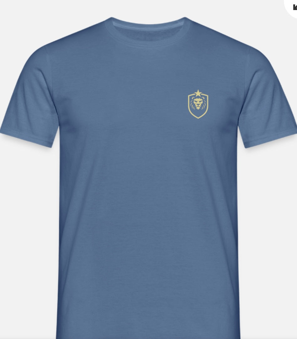 T-shirt herr w/logo ASB design