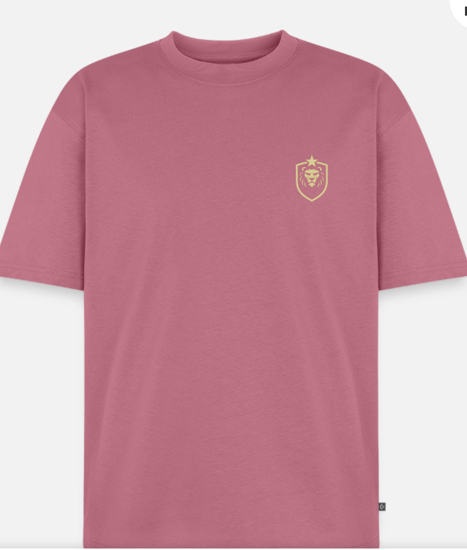 Ekologisk oversized t-shirt unisex w/logo ASB design